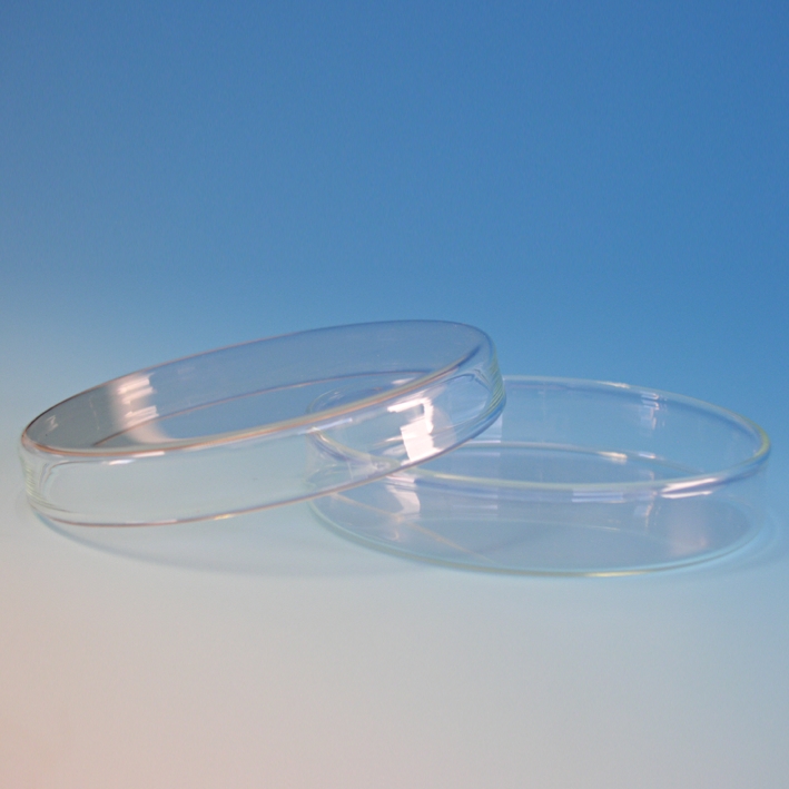 Petridoppelschale Ø 20 x H 5 cm