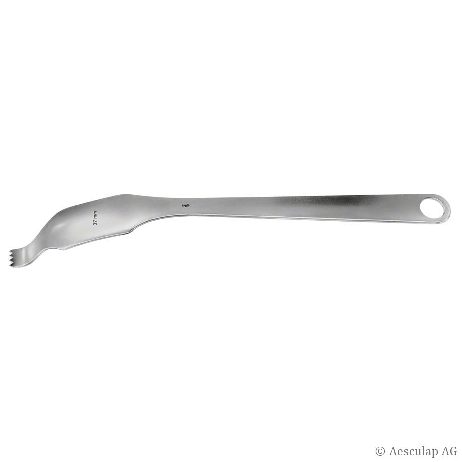 SCHUMACHER (Mod. WAGNER), gebogen, 350 mm, Spitze scharf, gezahnt