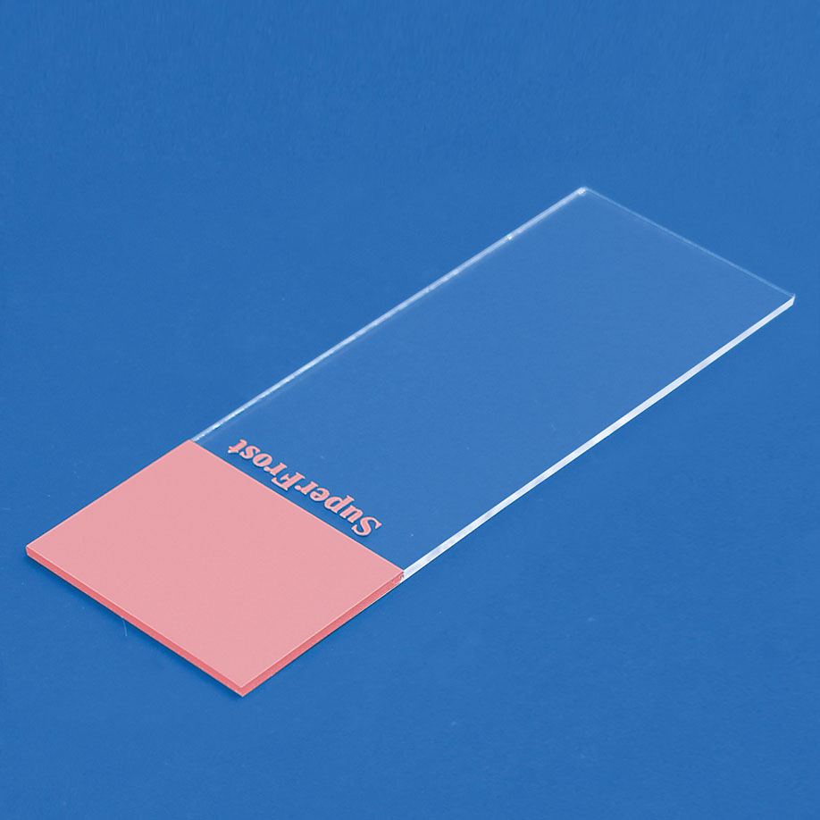 Objektträger SuperFrost rosa