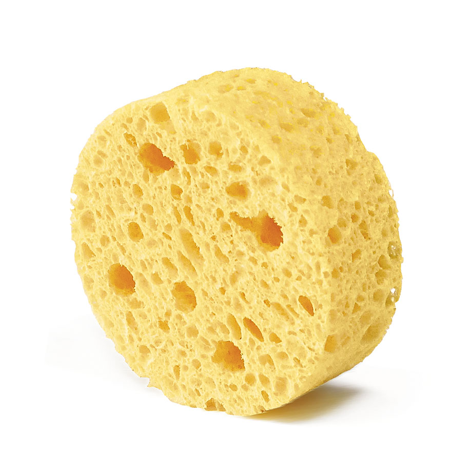 Schwämme 4-Loch, Ø 60 mm,