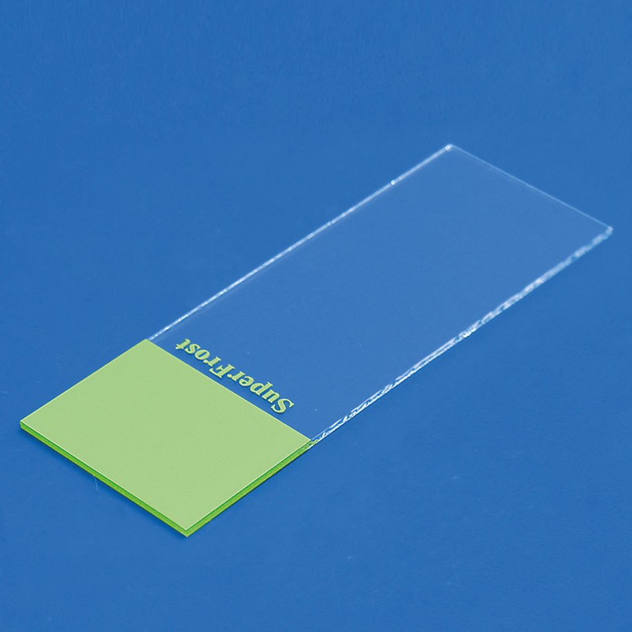 Objektträger SuperFrost grün