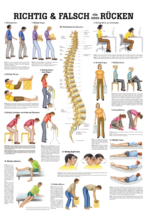 anat. Lehrtafel: Richtig & Falsch für Ihren Rücken 70 x 100 cm, Papier