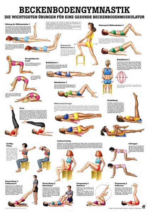 anat. Lehrtafel: Beckenbodengymnastik 70 x 100 cm, laminiert