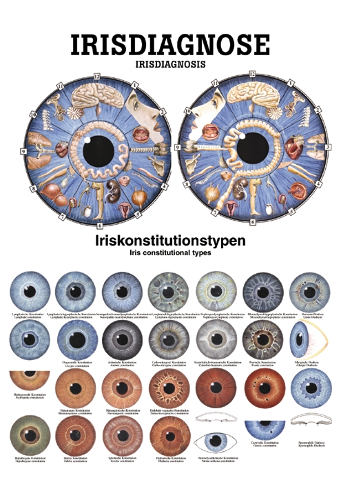 anat. Poster: Irisdiagnose 50 x 70 cm, laminiert, zweisprachig