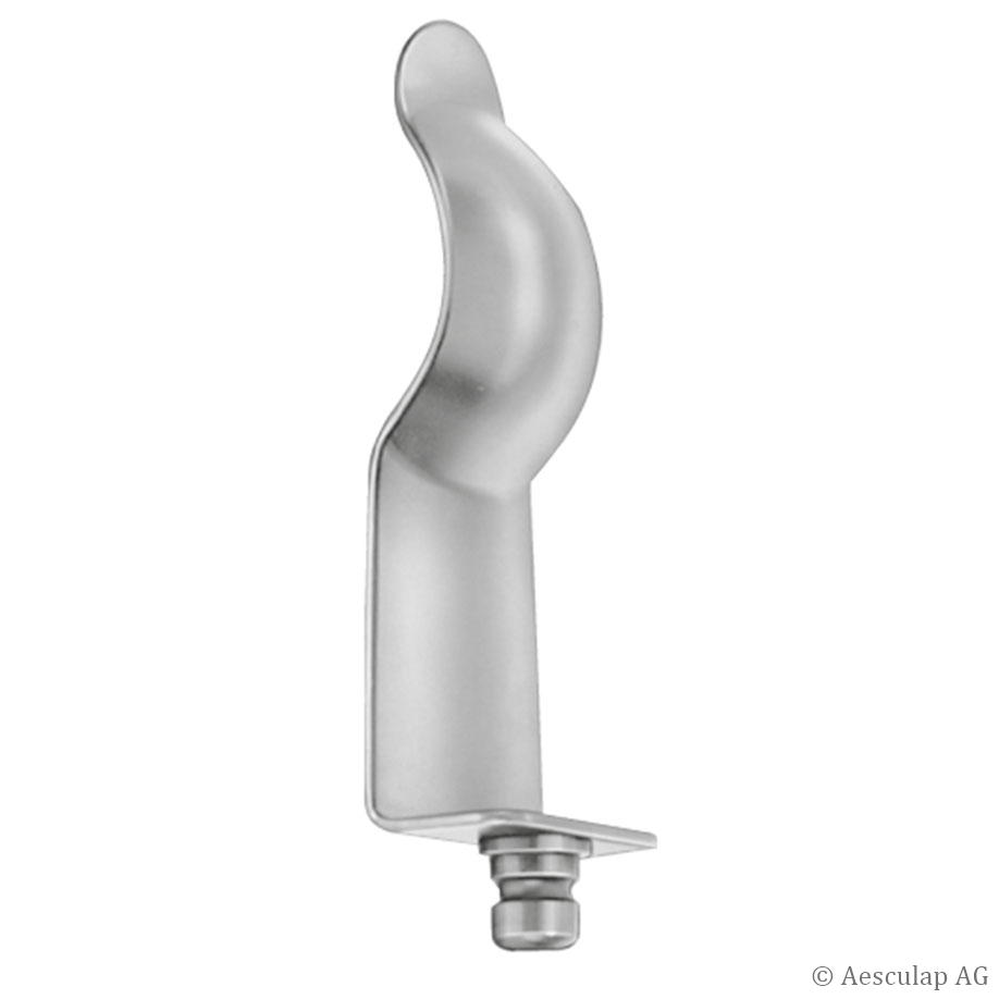 Rektumblätter, 70 x 22 mm,