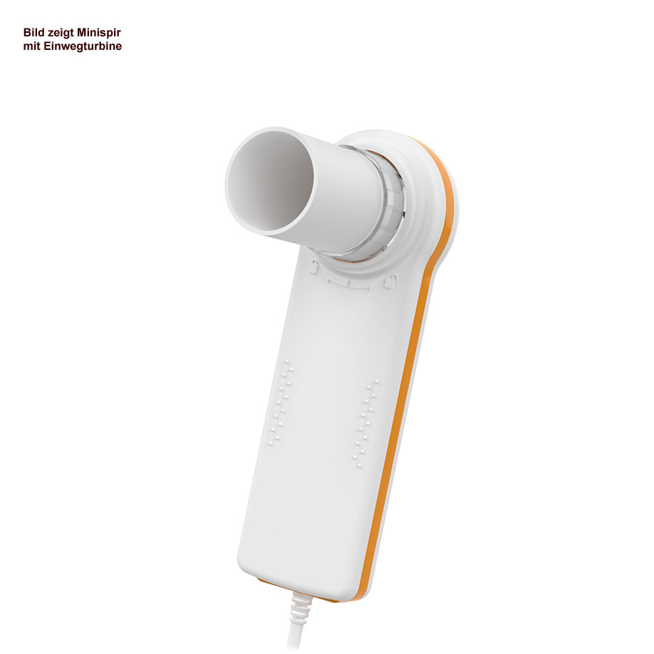 MiniSpir PC-basiertes