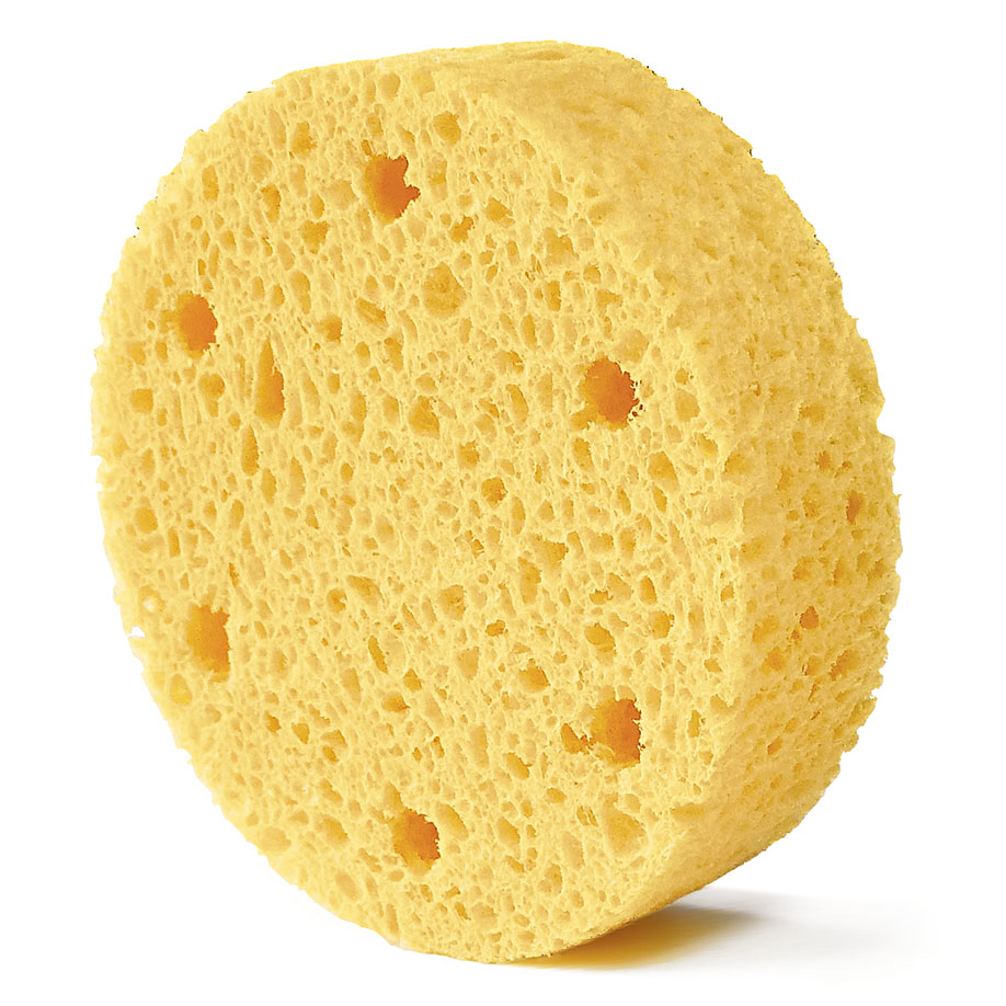 Schwämme 6-Loch, Ø 88 mm,