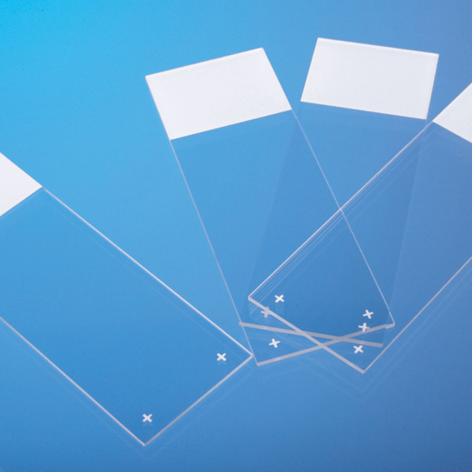 Objektträger SuperFrost/Plus