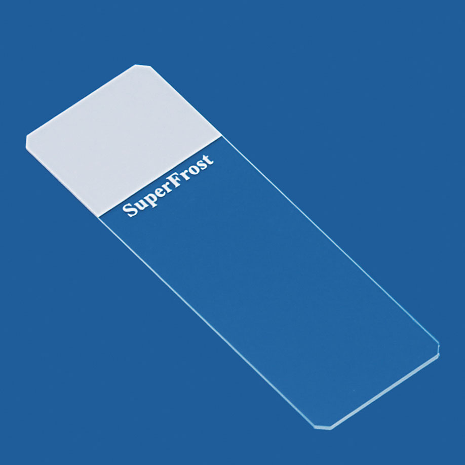 Objektträger SuperFrost weiß