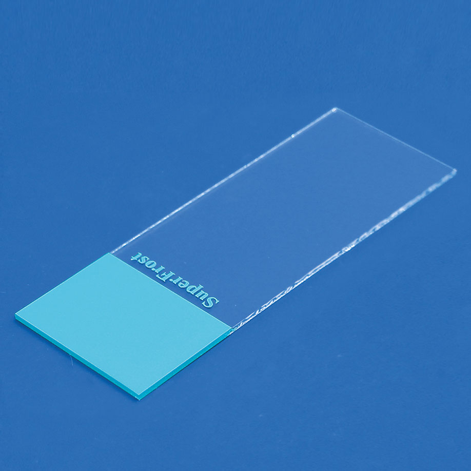 Objektträger SuperFrost blau