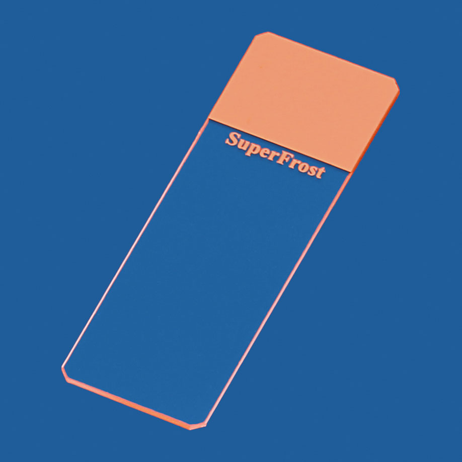 Objektträger SuperFrost orange