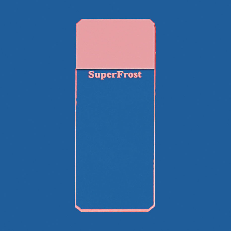 Objektträger SuperFrost rosa