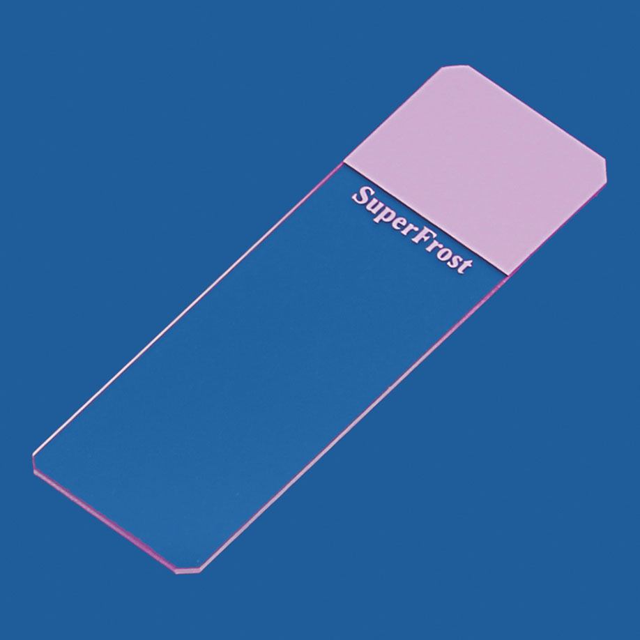 Objektträger SuperFrost lila