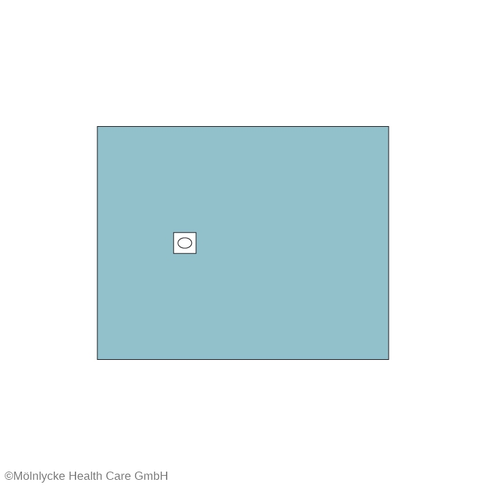 Lochtücher selbstklebend 50 x 60 cm, Loch Ø 6 x 8 cm (75 Stck.)