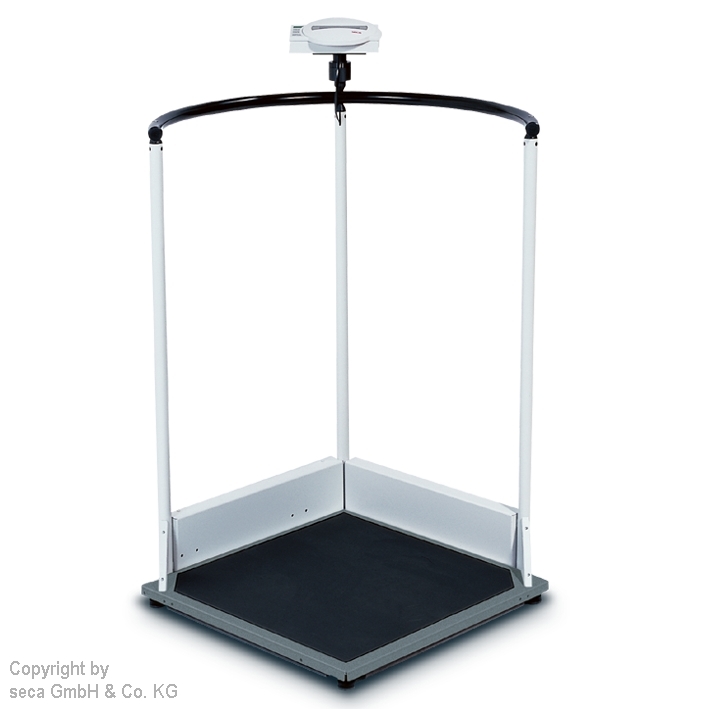 funkfähige Stehhilfewaage 360° seca 645