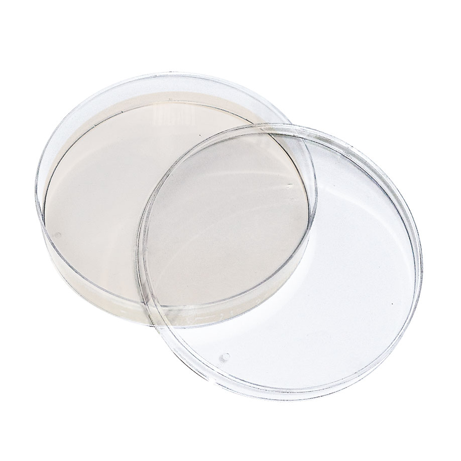 Candida-Agar (Nickerson) (Biggy-Agar)