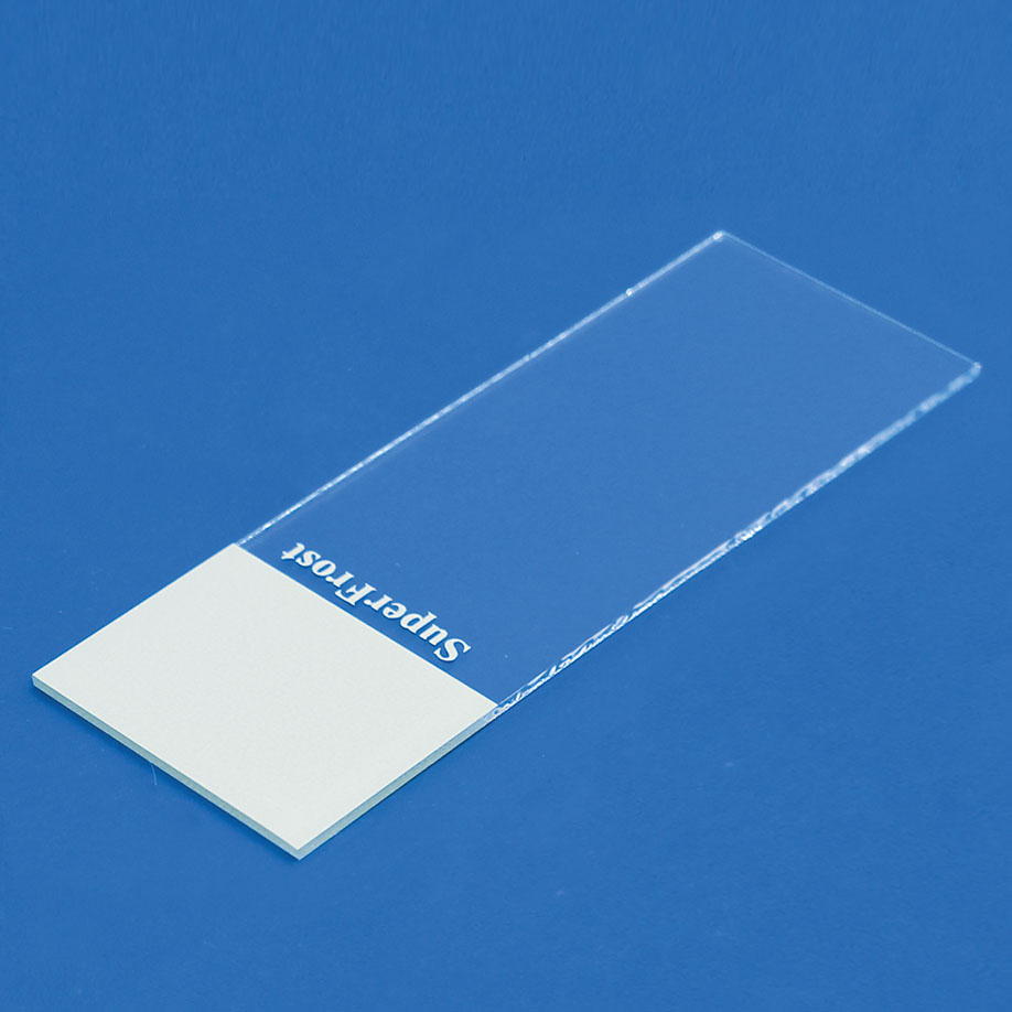 Objektträger SuperFrost weiß