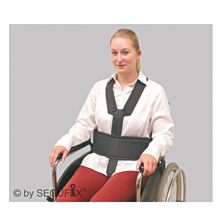 SEGUFIX-Rückhaltegurt Gr. L,