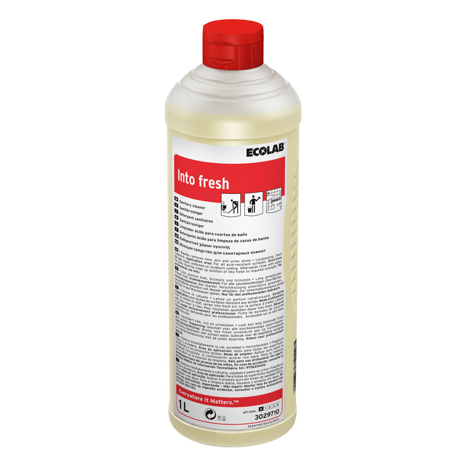 Into fresh 1 L Sanitär-Kraftreiniger