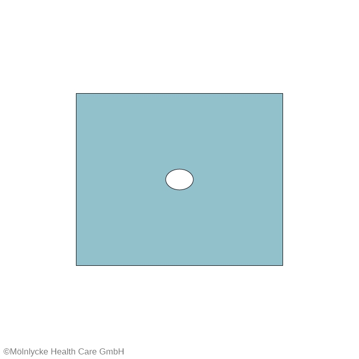 Lochtücher 50 x 60 cm, Loch Ø 6 x 8 cm (70 Stck.)