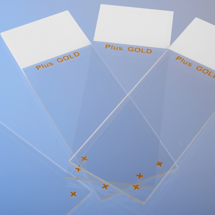 Objektträger SuperFrost Plus Gold